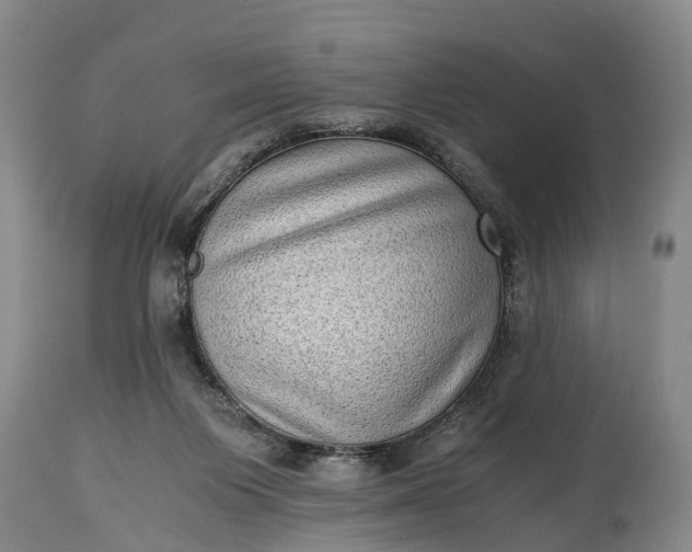 X0000115020119200911091451