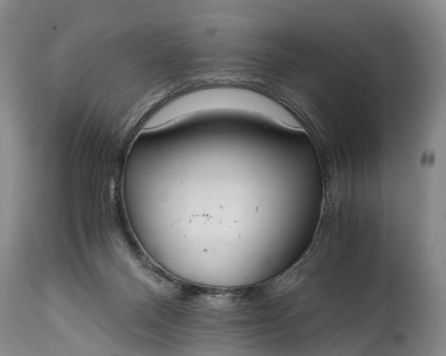 X0000115020120200911091451