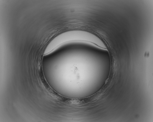 X0000115020121200911091451