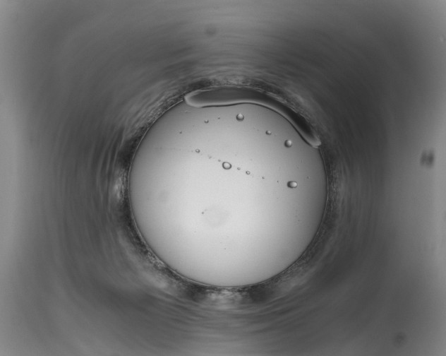 X0000115020125200911091451