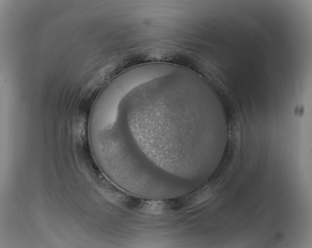 X0000115020127200911091451