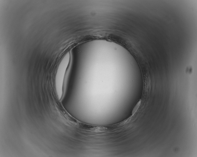 X0000115020128200911091451