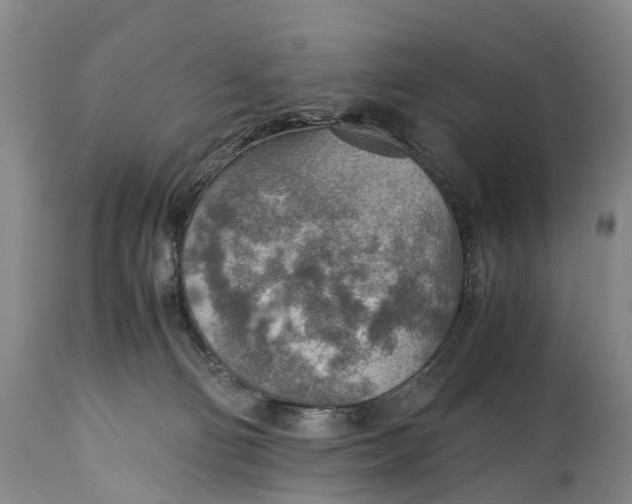 X0000115020130200911091451