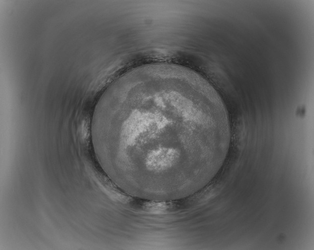 X0000115020131200911091451