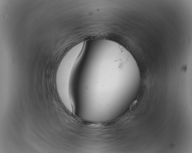 X0000115020133200911091451