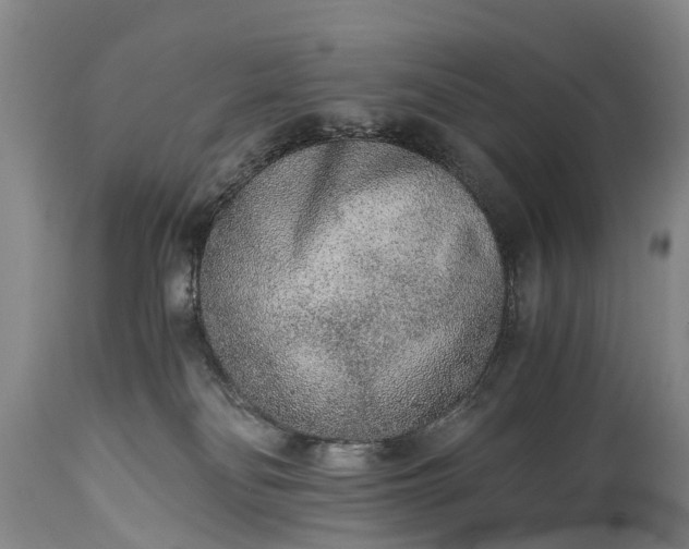 X0000115020134200911091451