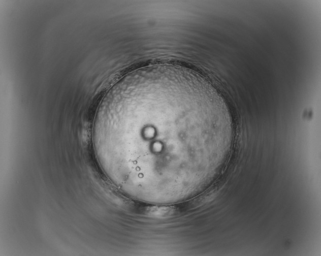 X0000115020135200911091451