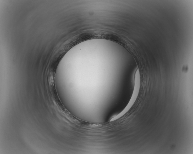 X0000115020137200911091451