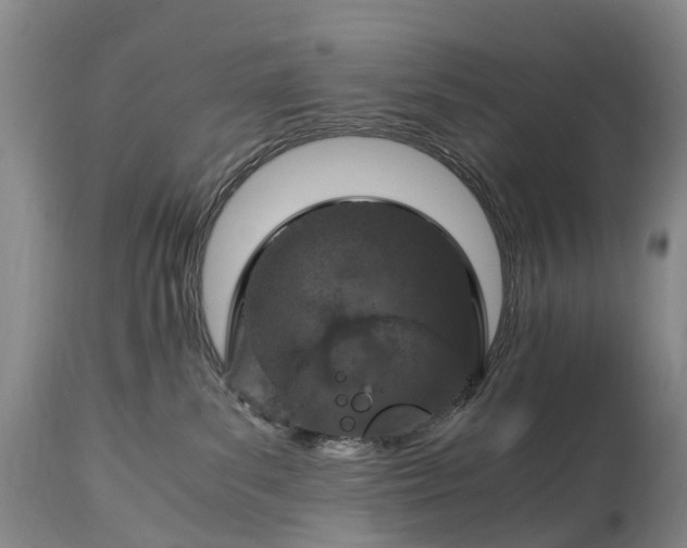 X0000115020139200911091451