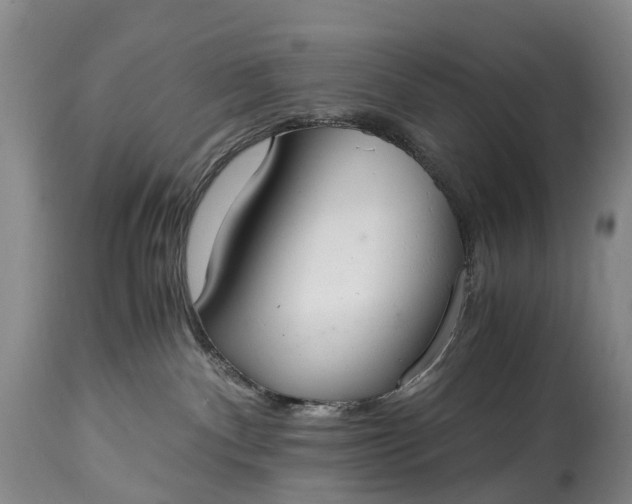 X0000115020140200911091451