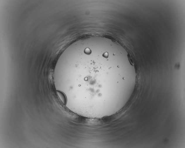 X0000115020141200911091451