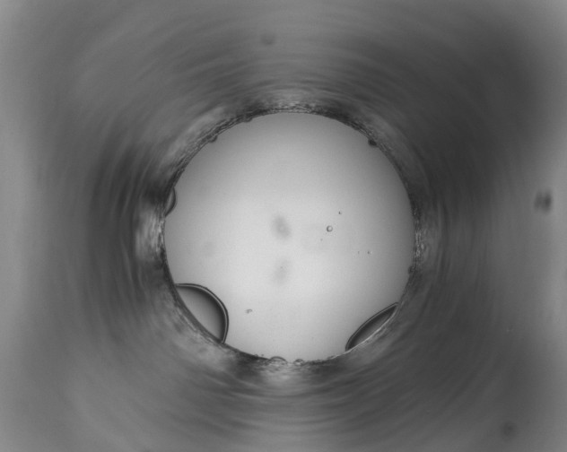 X0000115020142200911091451