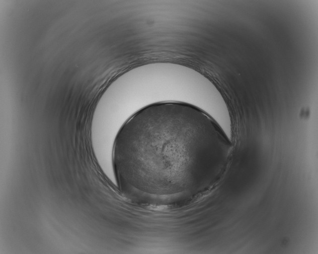 X0000115020143200911091451