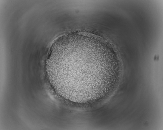 X0000115020144200911091451