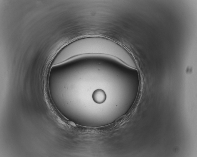 X0000115020145200911091450