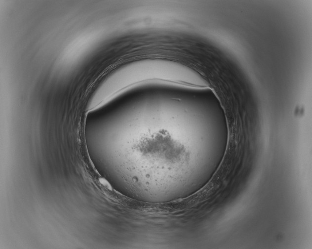 X0000115020146200911091450