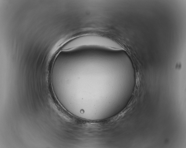 X0000115020150200911091450