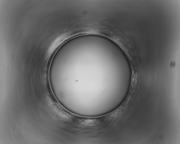 X0000115020151200911091450