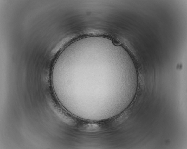 X0000115020159200911091450