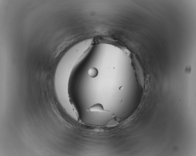 X0000115020162200911091450