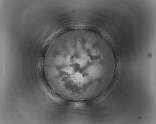 X0000115020165200911091450