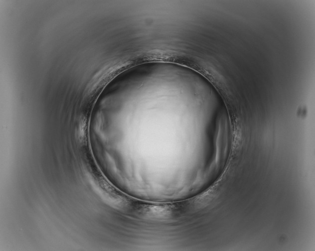 X0000115020166200911091450