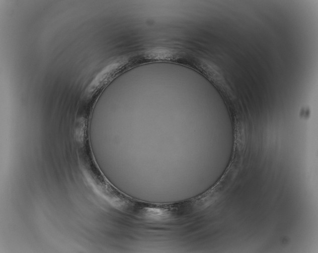 X0000115020167200911091450