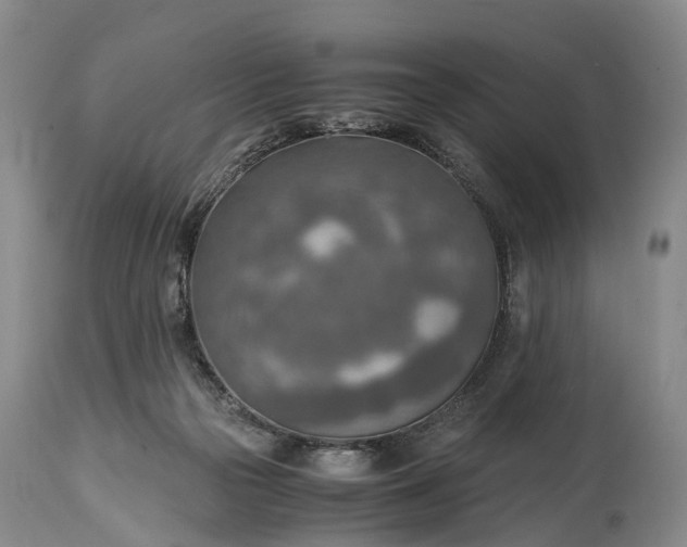 X0000115020169200911091450