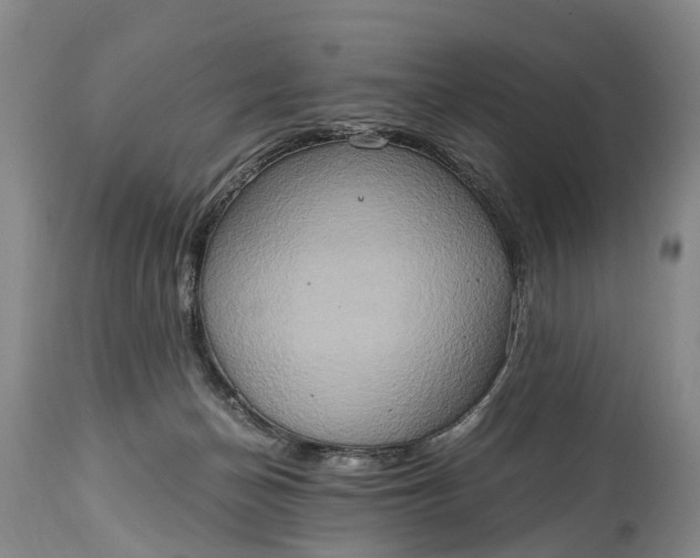 X0000115020174200911091450