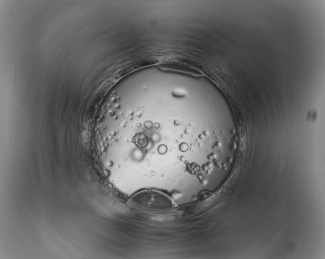 X0000115020175200911091450