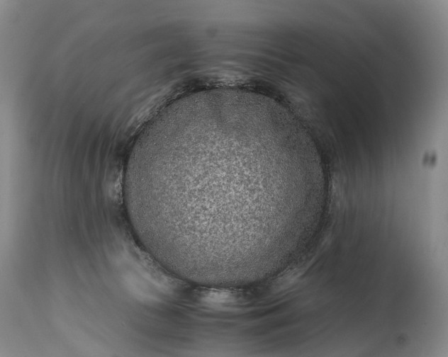 X0000115020177200911091450