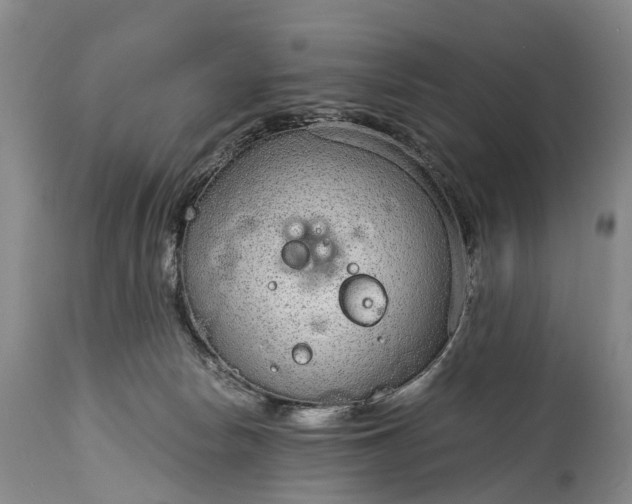 X0000115020178200911091450