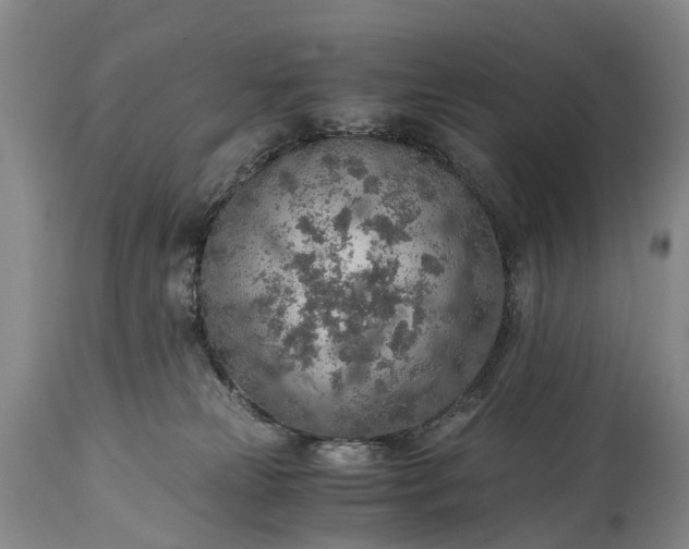 X0000115020181200911091450