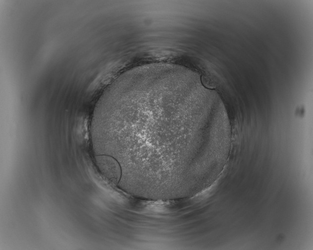 X0000115020182200911091451