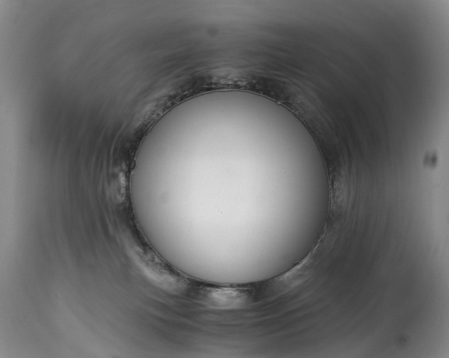 X0000115020183200911091451