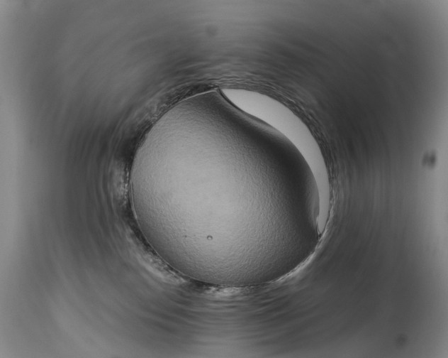 X0000115020186200911091451