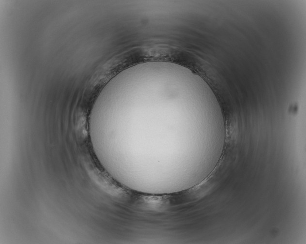 X0000115020187200911091451