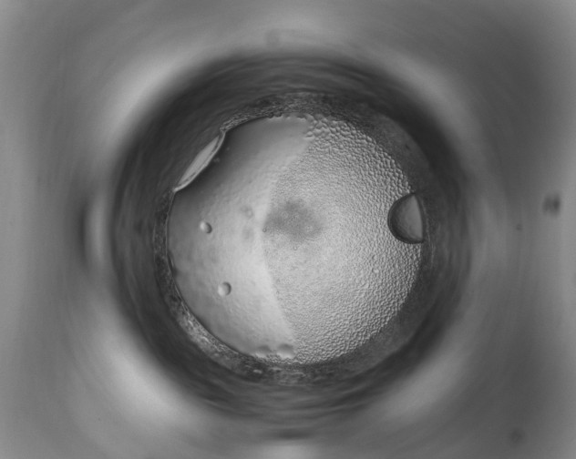 X0000115020189200911091451