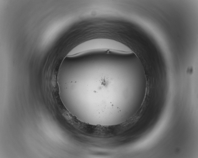 X0000115020190200911091451