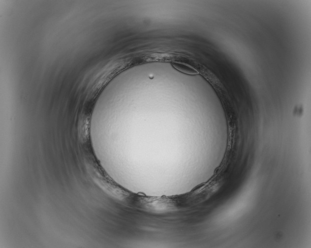 X0000115020191200911091451