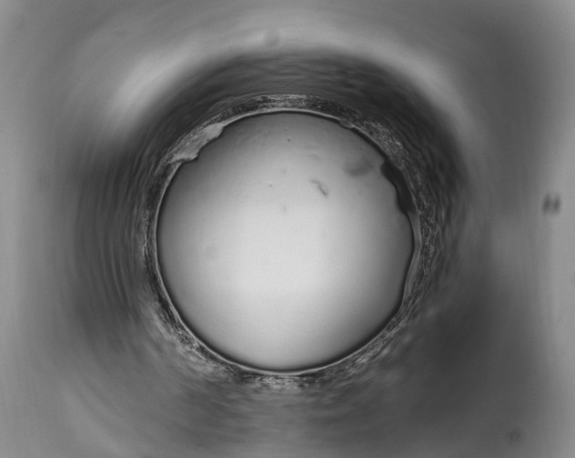 X0000115020194200911091450