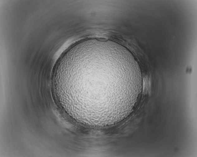 X0000115020195200911091450