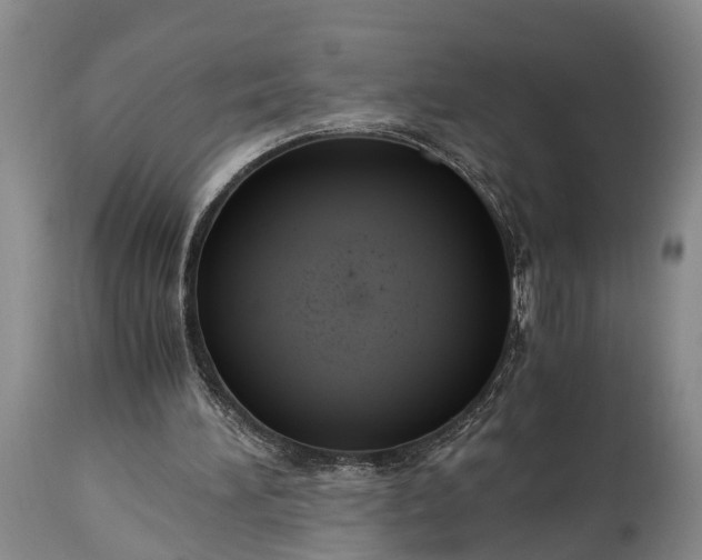 X0000115020196200911091450