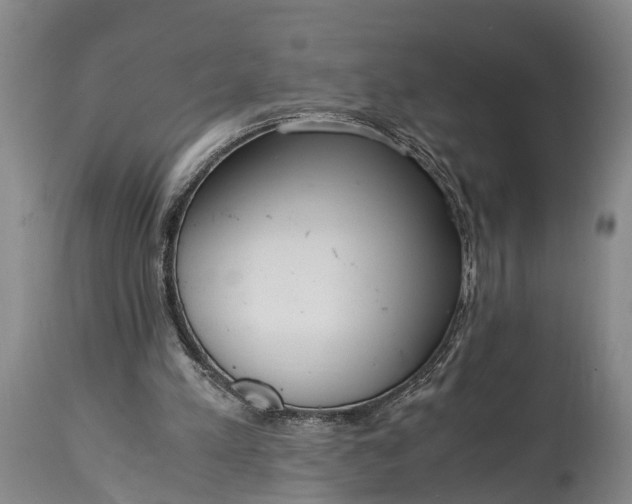 X0000115020197200911091450