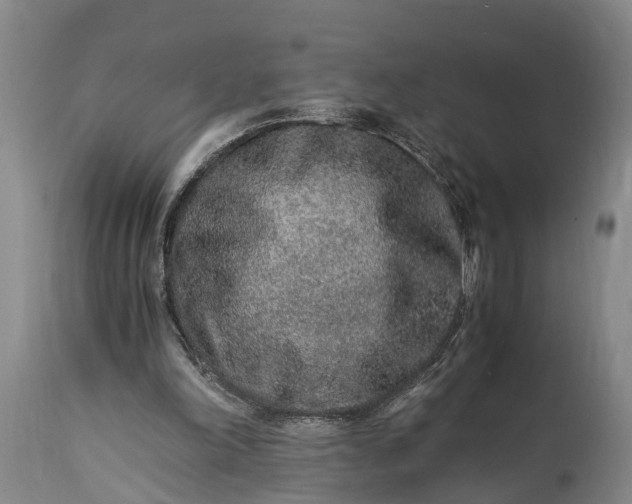 X0000115020198200911091450