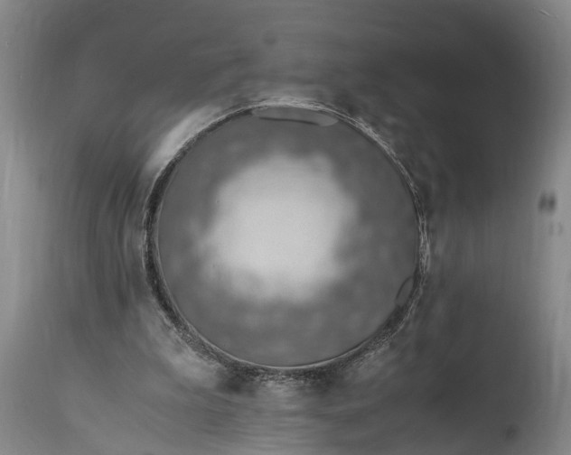 X0000115020199200911091450