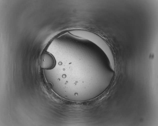 X0000115020200200911091450