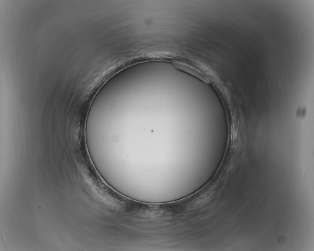 X0000115020201200911091450