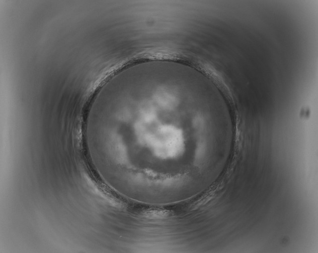 X0000115020202200911091450