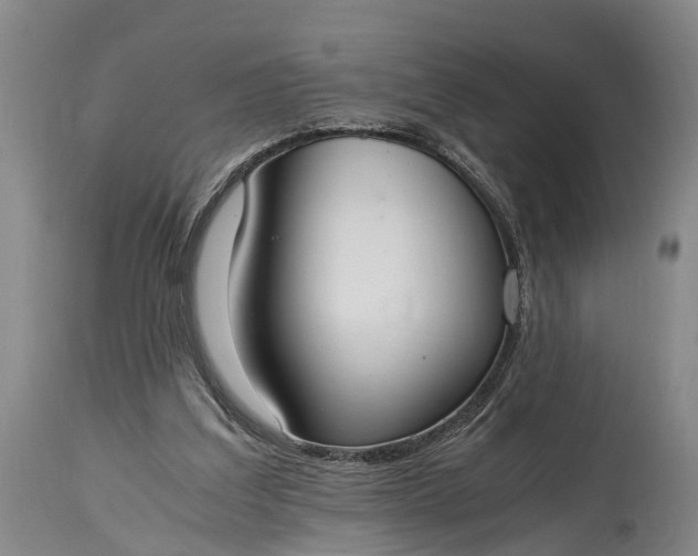 X0000115020203200911091450